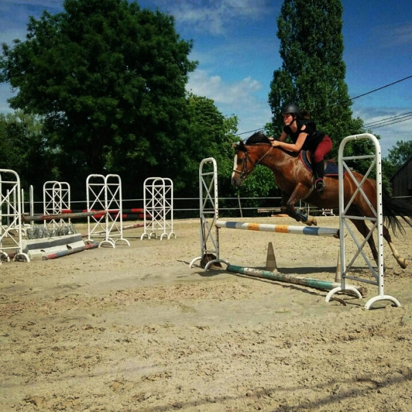 Photo de profil de lili_roose