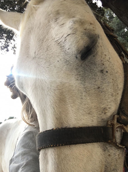 Photo de profil de lili.sgt