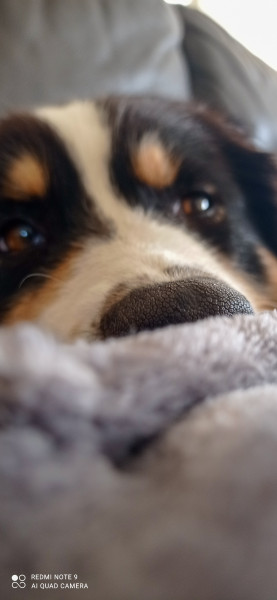 Photo de profil de liloumgz