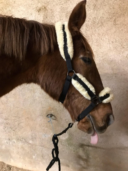 Photo de profil de liloute_13