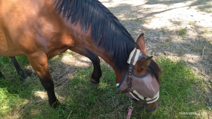 Photo de profil de lily_elsa49460