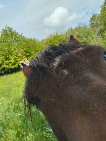 Photo de profil de lindy_hop731