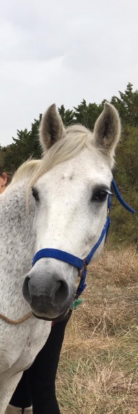 Photo de profil de linette17320