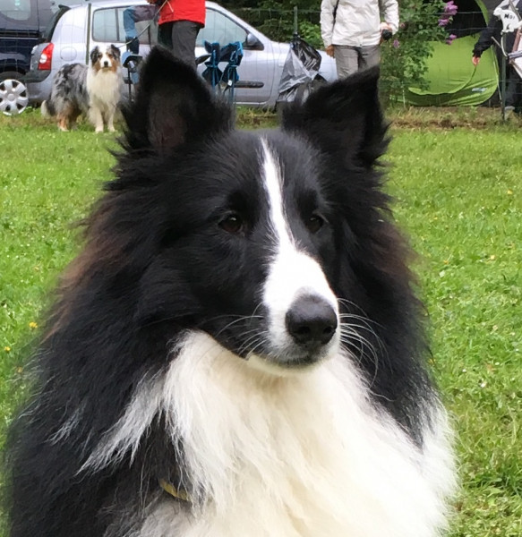 Photo de profil de linux95