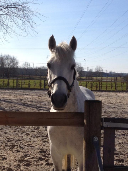 Photo de profil de lisa1509