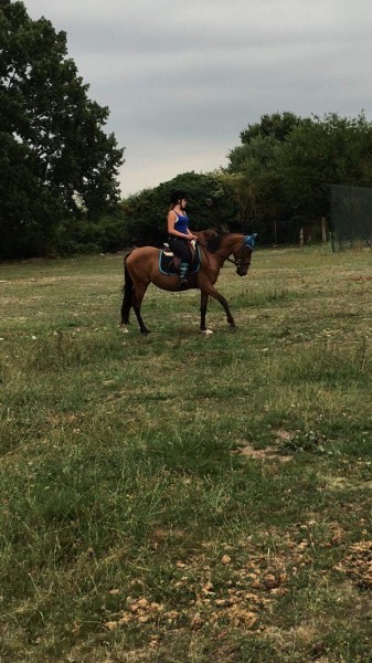 Photo de profil de lisacheval31