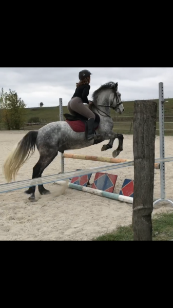 Photo de profil de lisadora