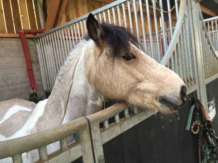 Photo de profil de lise.dqt