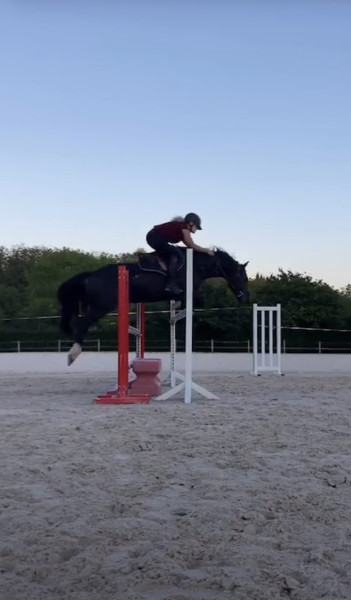 Photo de profil de lisewishou