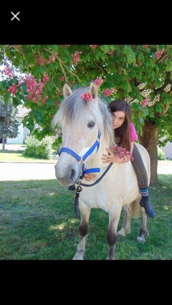 Photo de profil de lisoudu88