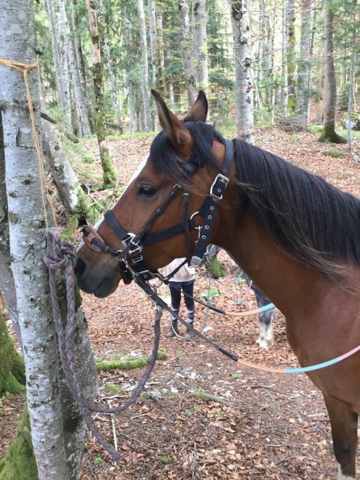 Photo de profil de lisouille39