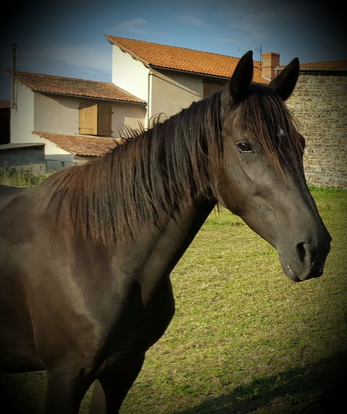 Photo de profil de lisousgrims