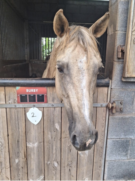 Photo de profil de liyaqueen15