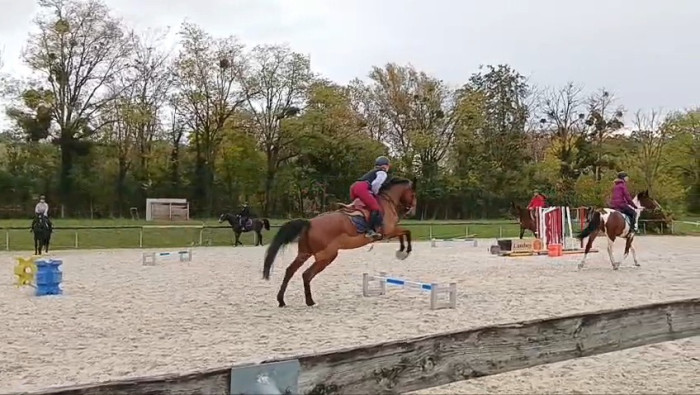 Photo de profil de lizok