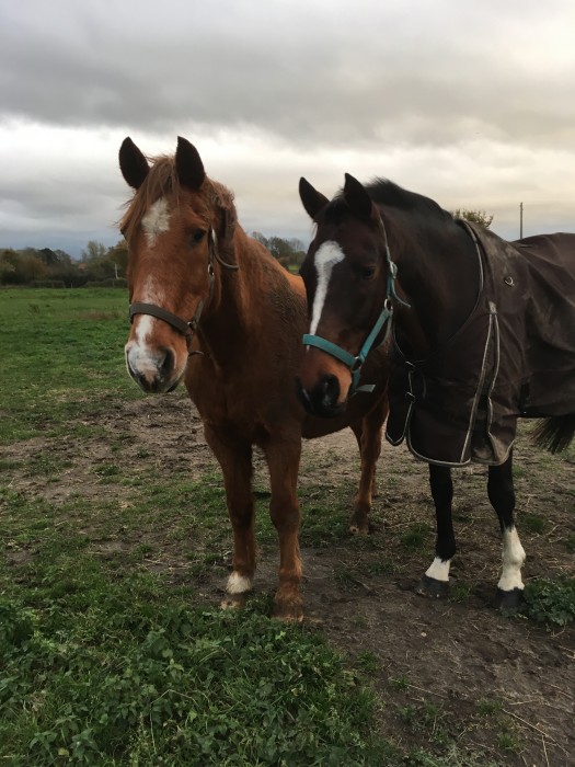 Photo de profil de lnr.viva