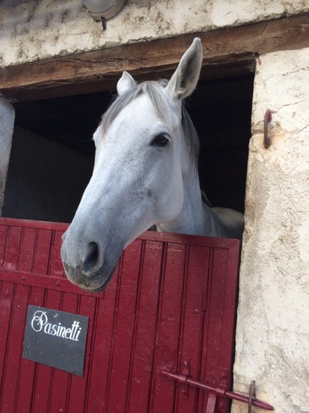 Photo de profil de loane0501