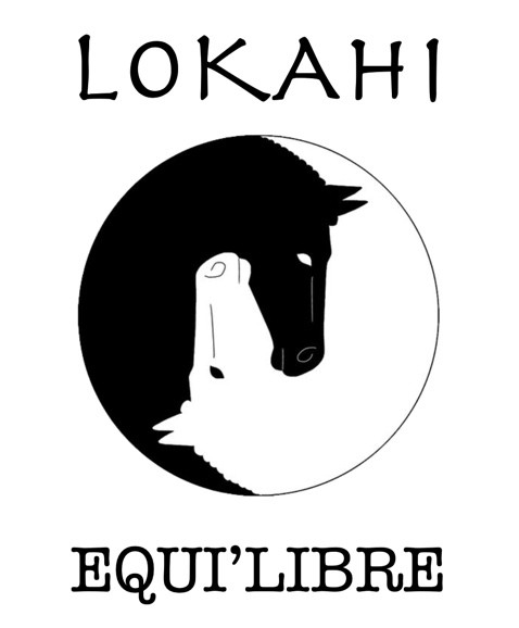 Photo de profil de lokahi
