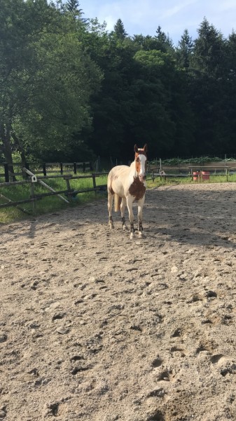 Photo de profil de lola2803