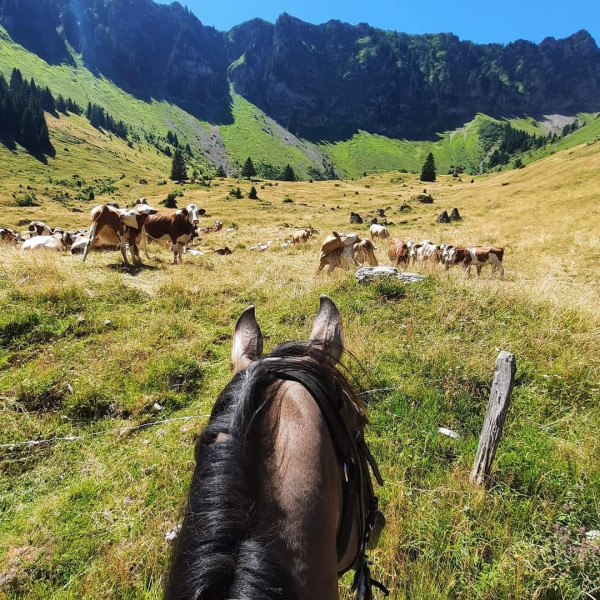 Photo de profil de lola74