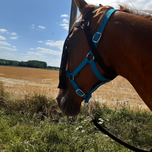 Photo de profil de lolaetsespoons