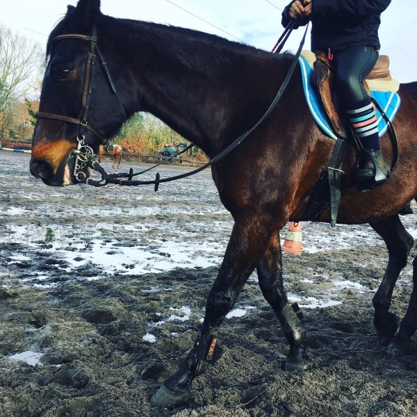 Photo de profil de lola.galipette