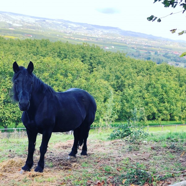 Photo de profil de lolilola38
