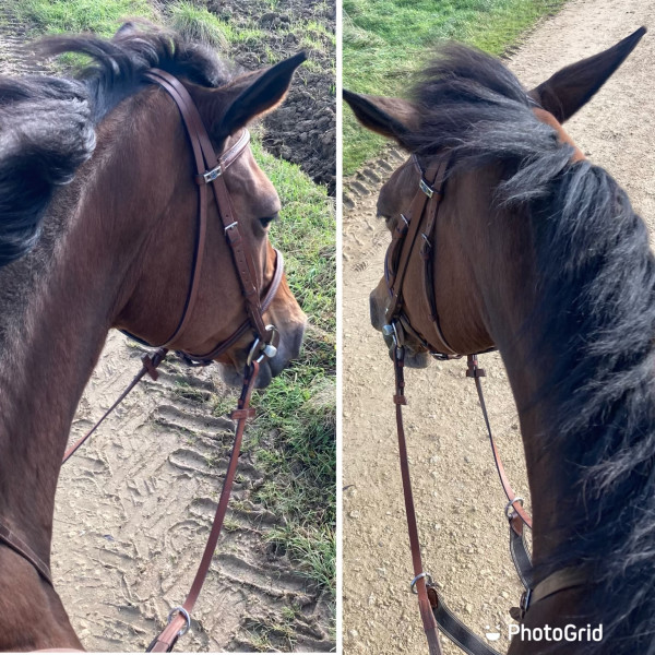 Photo de profil de lolita1293