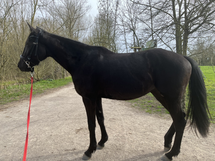 Photo de profil de lolo165