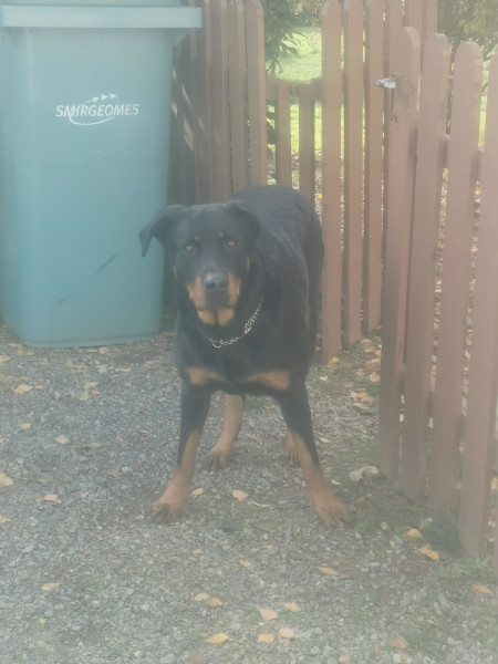 Photo de profil de lolo.72