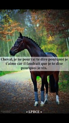 Photo de profil de loloequi
