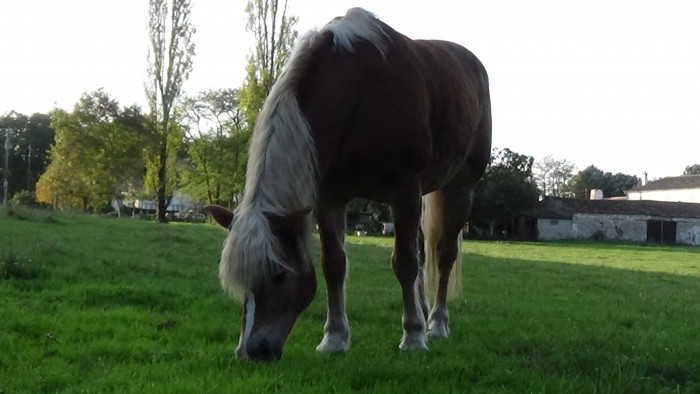 Photo de profil de lololilidede