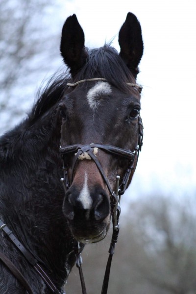 Photo de profil de lolospeed24