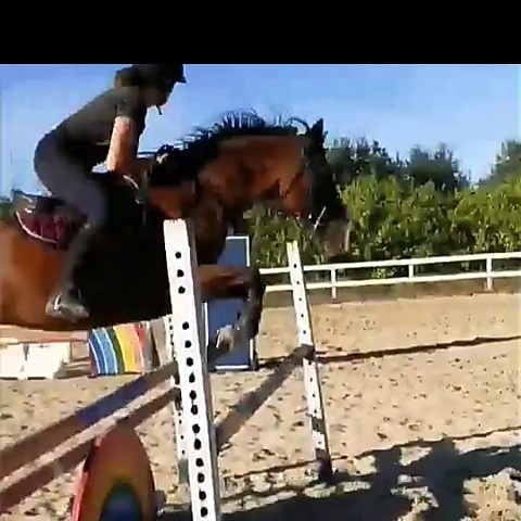 Photo de profil de lo_lsc