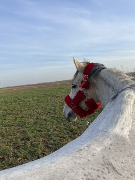 Photo de profil de loolaa9145