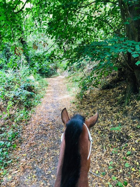 Photo de profil de loorah78