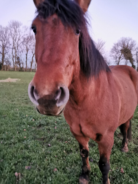 Photo de profil de lorelei0105