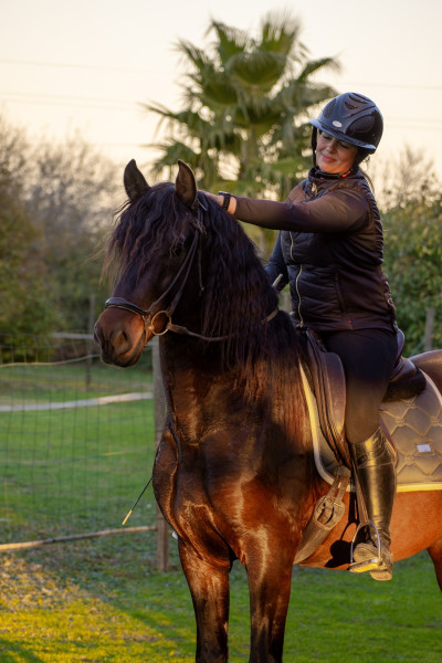 Photo de profil de lorenequestrian