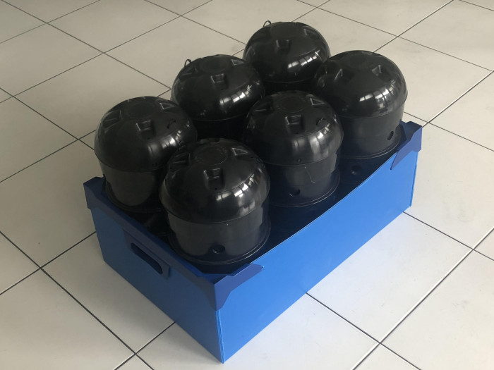 Photo de profil de lorenzohh