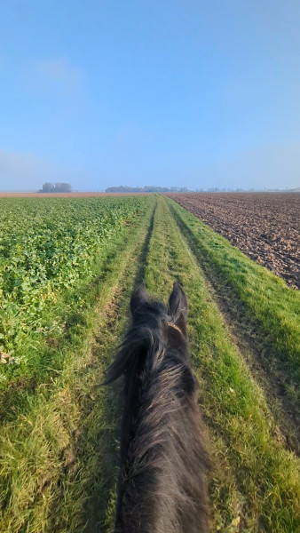 Photo de profil de lorie9104