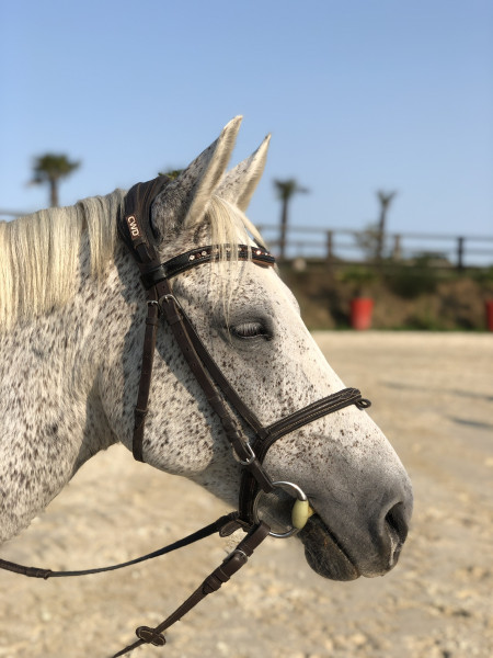 Photo de profil de louise.gr