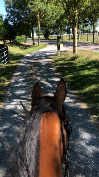 Photo de profil de louishenri2325