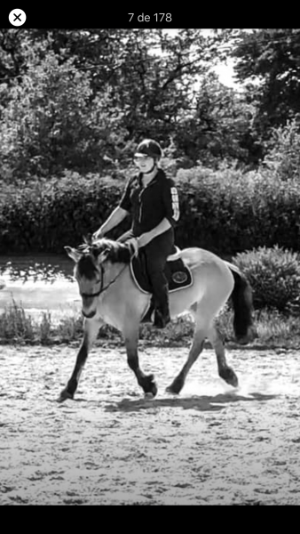 Photo de profil de louisou61