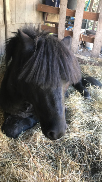 Photo de profil de loulou1868
