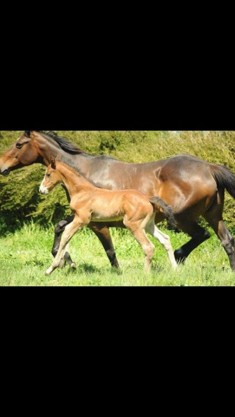 Photo de profil de loulou49430