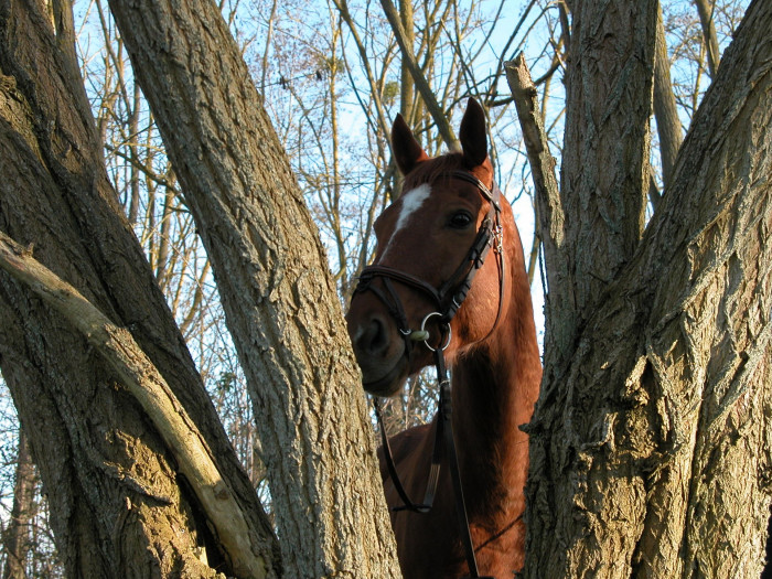 Photo de profil de lou.lp19