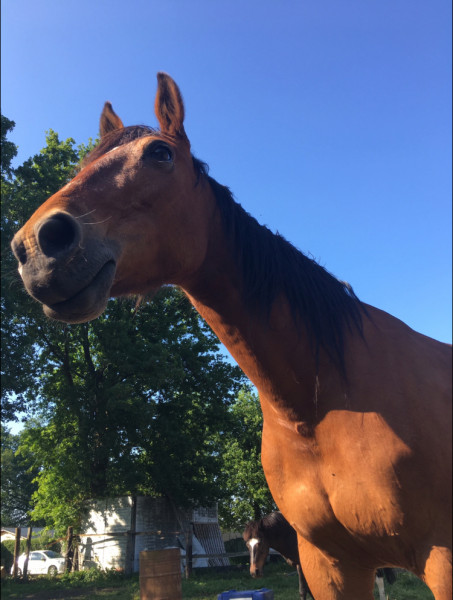 Photo de profil de louna_flt