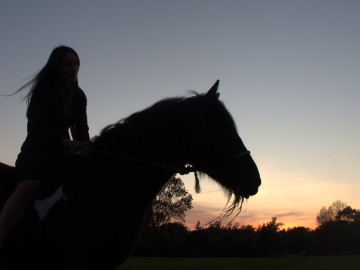 Photo de profil de lou.thm