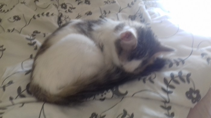 Photo de profil de louve_85