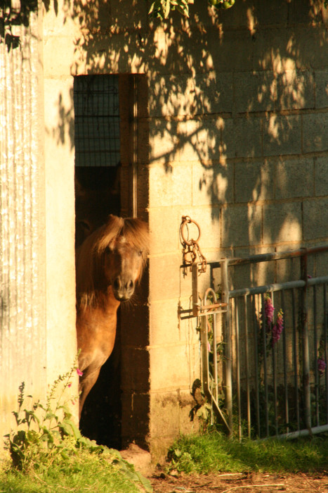 Photo de profil de lu.07