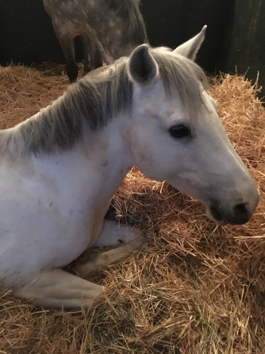 Photo de profil de lucie1342